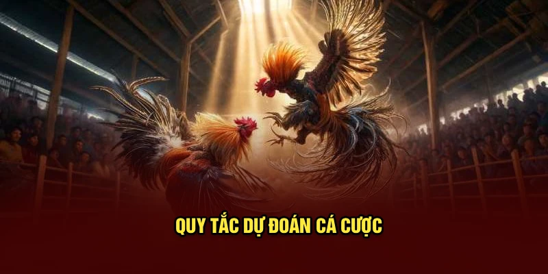 Quy tắc dự đoán cá cược