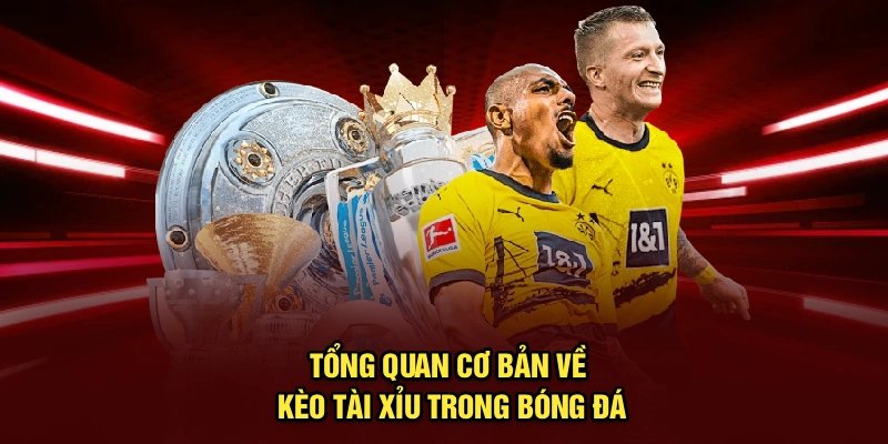 Tổng quan cơ bản về kèo tài xỉu trong bóng đá